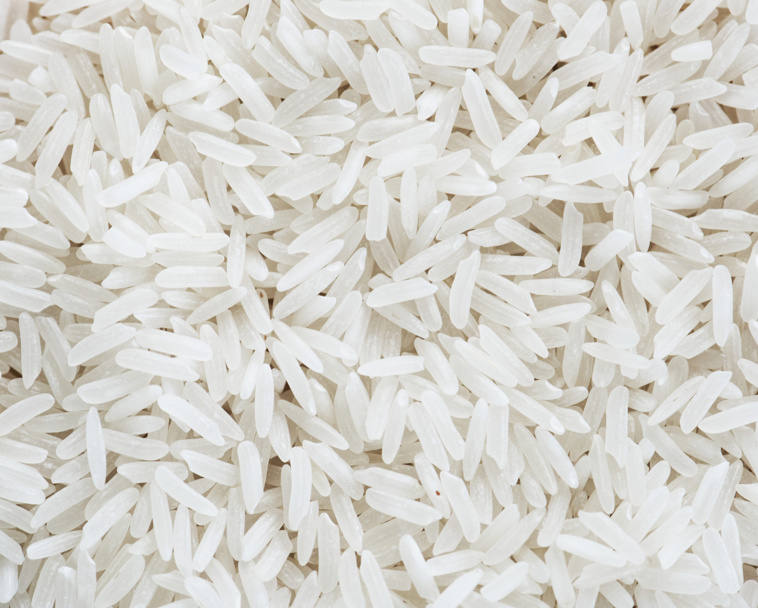 riz sans gluten
